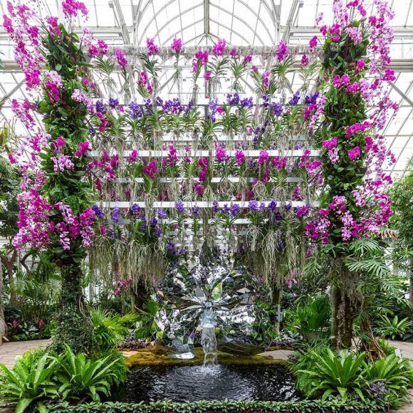 Say “I love you” with orchids when you visit “The Orchid Show:  Jeff Leatham’s Kaleidoscope,” opening Saturday, Feb. 15 at the New York Botanical Garden. Courtesy the New York Botanical Garden.