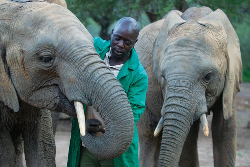 Philip with elephants.