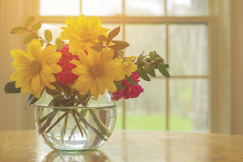 Plants and flowers brighten the day, particularly in these stressful times. 