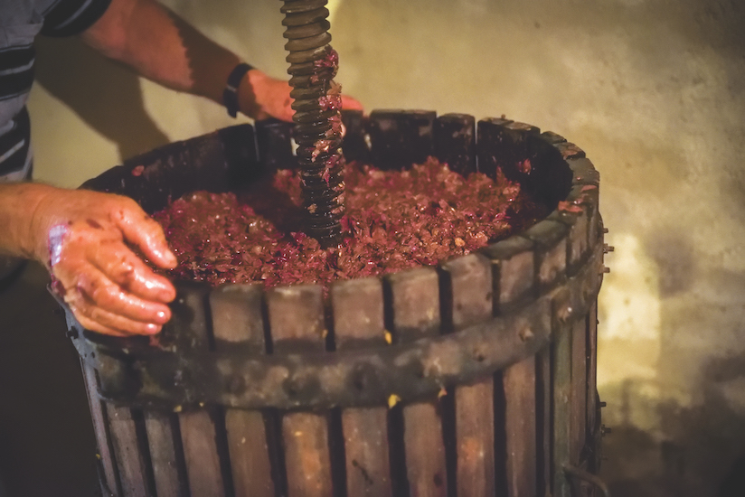 Making good homemade wine begins with overseeing crushing and pressing the grapes. Or, like WAG’s Doug Paulding, you can skip this part of the process, buy the wine juice and go straight to fermentation.