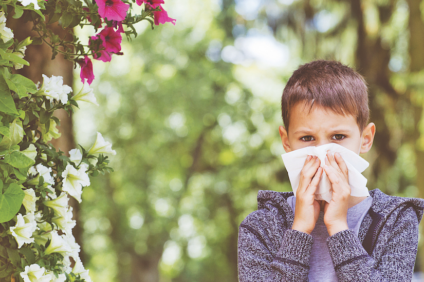While allergies and the common cold have some similarities, they are quite different, says David Erstein, M.D.