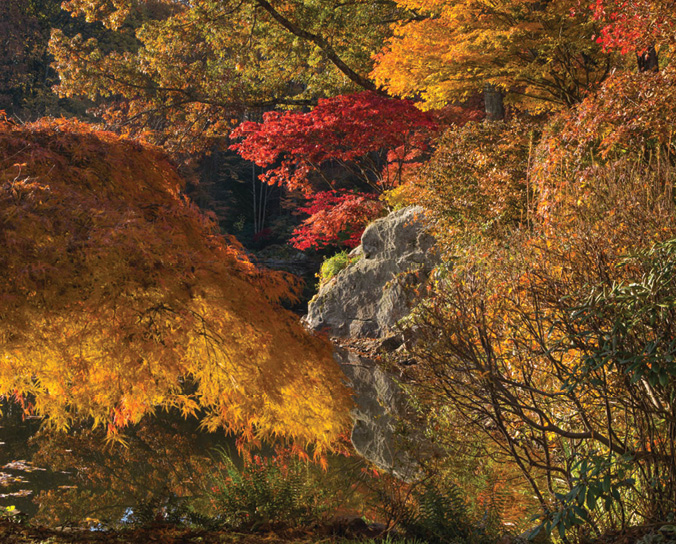 The Beckoning Path, Armonk.