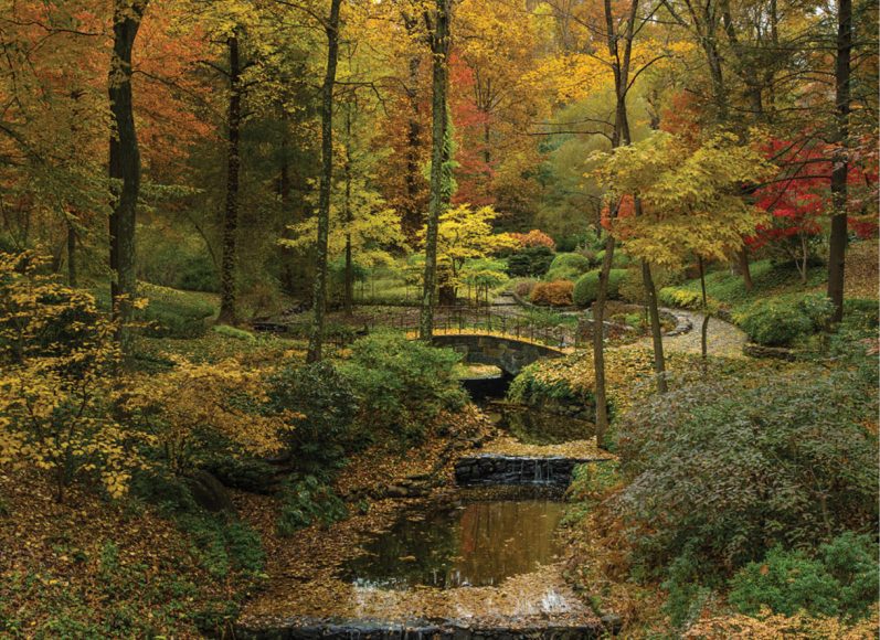 Larry Lederman’s own Hawks Nest in Chappaqua.