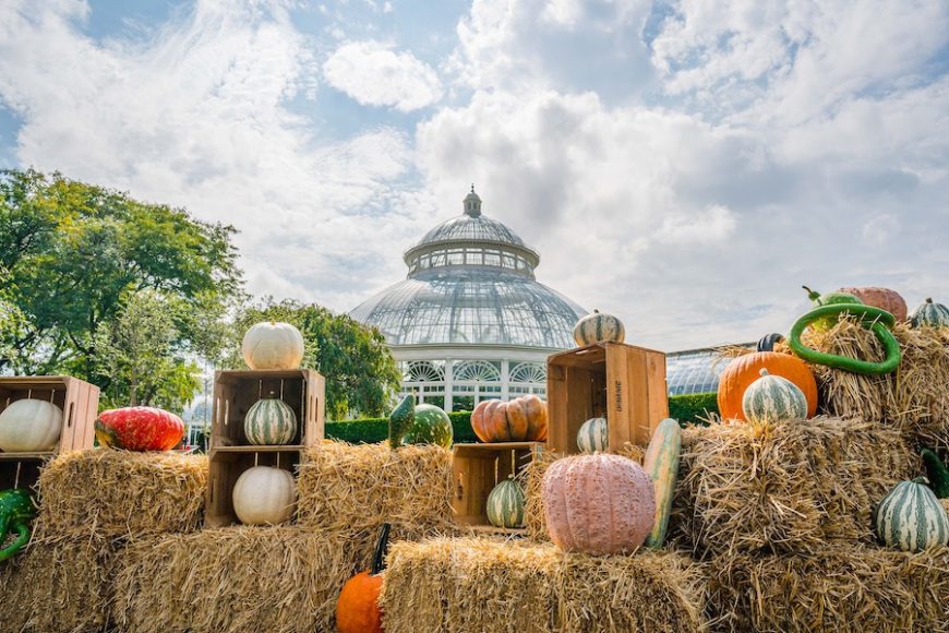 NYBG Great Pumpkin Path MCO-A9_07160