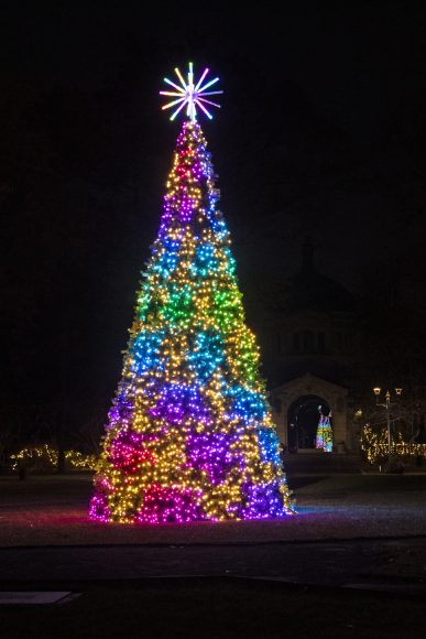 Julie Larsen Maher_9112_Holiday Lights Lanterns and Tree_BZ_11 15 19