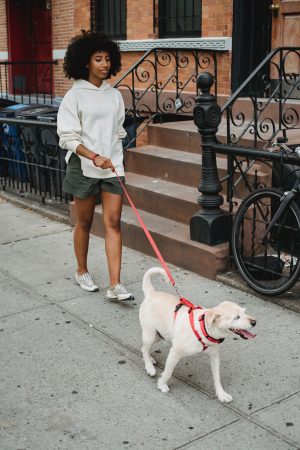 Woman walking a dog