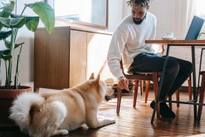 Man with dog at work