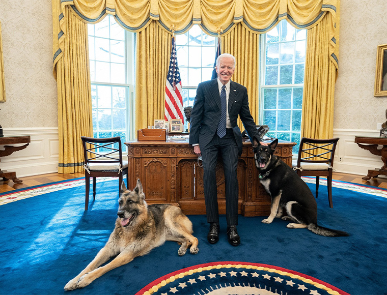 President Joe Biden with Champ (foreground) and Major in the Oval Office on Feb. 22. Courtesy the White House.