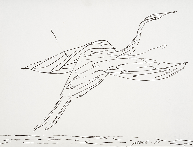 Stephen Pace’s “Untitled (Heron in Flight)” (1991), ink on paper, part of the Fairfield University Art Museum’s “Birds of the Northeast: Gulls to Great Auks” (through May 14). Gift of the Stephen and Palmina Pace Foundation.