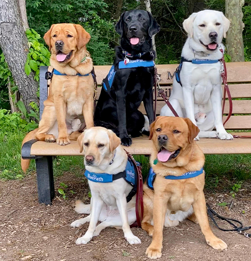 BluePath Service Dogs will host its virtual walkathon on Saturday, May 15, to support the nonprofit’s mission of providing service dogs to the autistic, offering them safety, companionship and opportunities for independence.