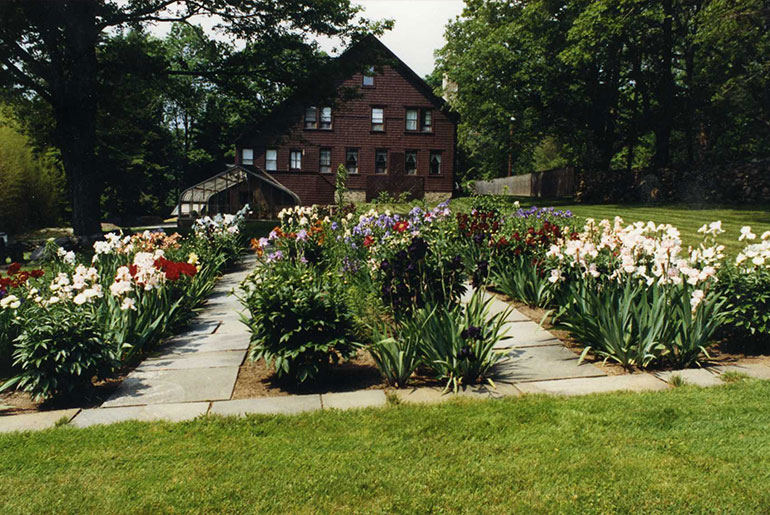 Popstead Garden 
and Shed. Photograph by Michael Biondo, Courtesy The Glass House.