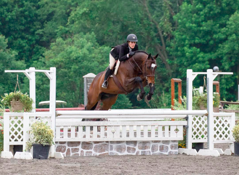 Sarah Maslin Nir in action aboard Bravo, also known as Gold Standard, in the amateur owner hunter division of a New Jersey event. Photograph by Paws and Rewind.