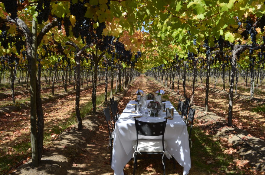 “Our luncheon setting in the shade of the ripe Carmenere grape clusters of Apaltagua winery in Chile,” wine columnist Doug Paulding writes of his 2012 visit to Chile.