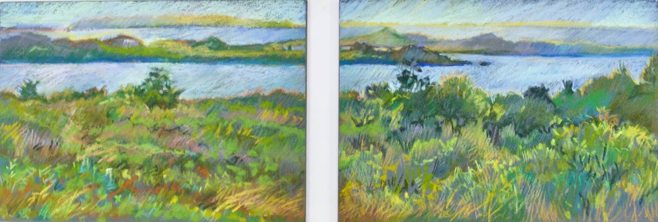 Wendy Shalen’s “Squibnocket Pond View I” (2018), pastel on pastel board.