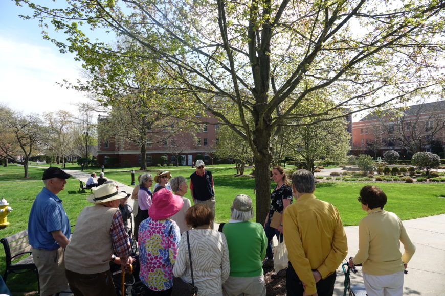 Arbor Day 3