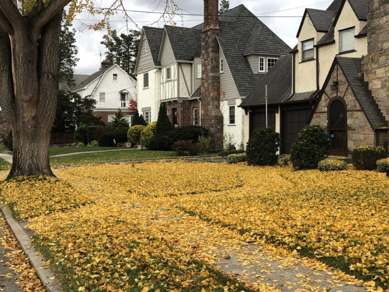 Crestwood’s golden landscapes in late autumn symbolize its popularity on Zillow.