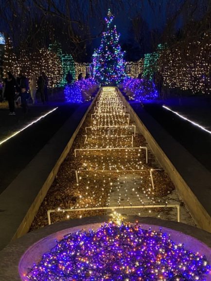 Through Jan. 2, the Untermeyer Gardens Conservancy’s Walled Garden in Yonkers is electric, literally, with 100,000 lights. Courtesy RC Photography.