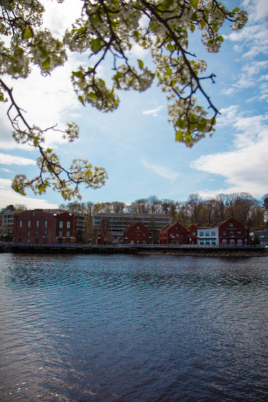 Westport seen from the Saugatuck River, which flows through Westport Harbor and empties into the Long Island Sound.