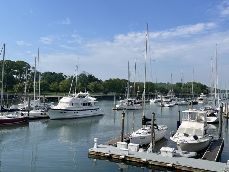 View across Glen Island Marina, Glen Island Park in the background.
All photographs by Jeremy Wayne.