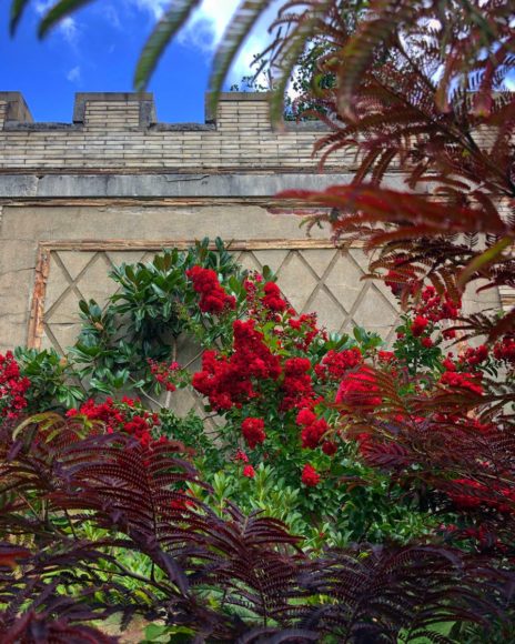Untermyer Gardens Conservancy – a place of enchantment in Yonkers. Photographs courtesy Untermyer Gardens Conservancy.
