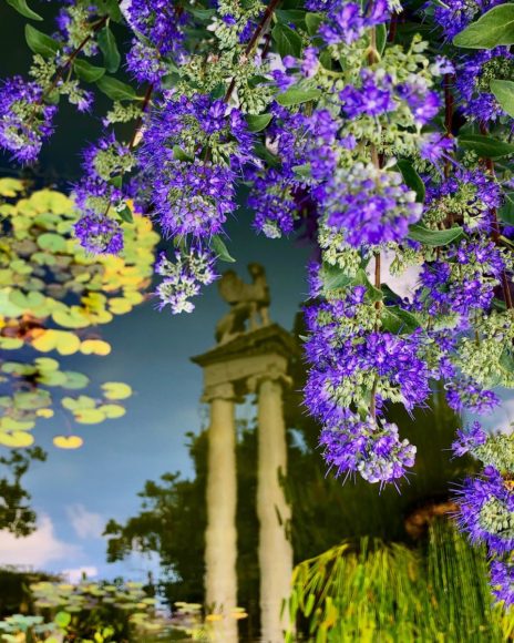 Untermyer Gardens Conservancy – a place of enchantment in Yonkers. Photographs courtesy Untermyer Gardens Conservancy.